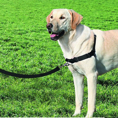 Petsafe Easy Walk Harness Large Red Rohs