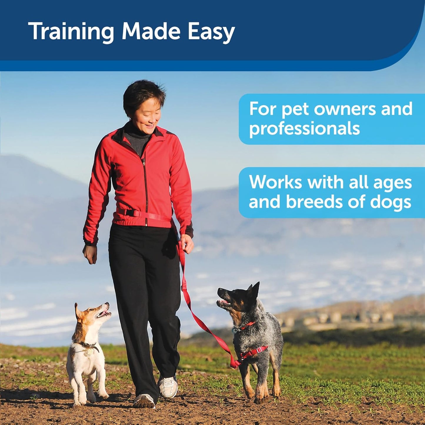 PetSafe Treat & Train Remote Reward Dog Trainer – Remote-Controlled Treat Dispenser for Dog Training UAE