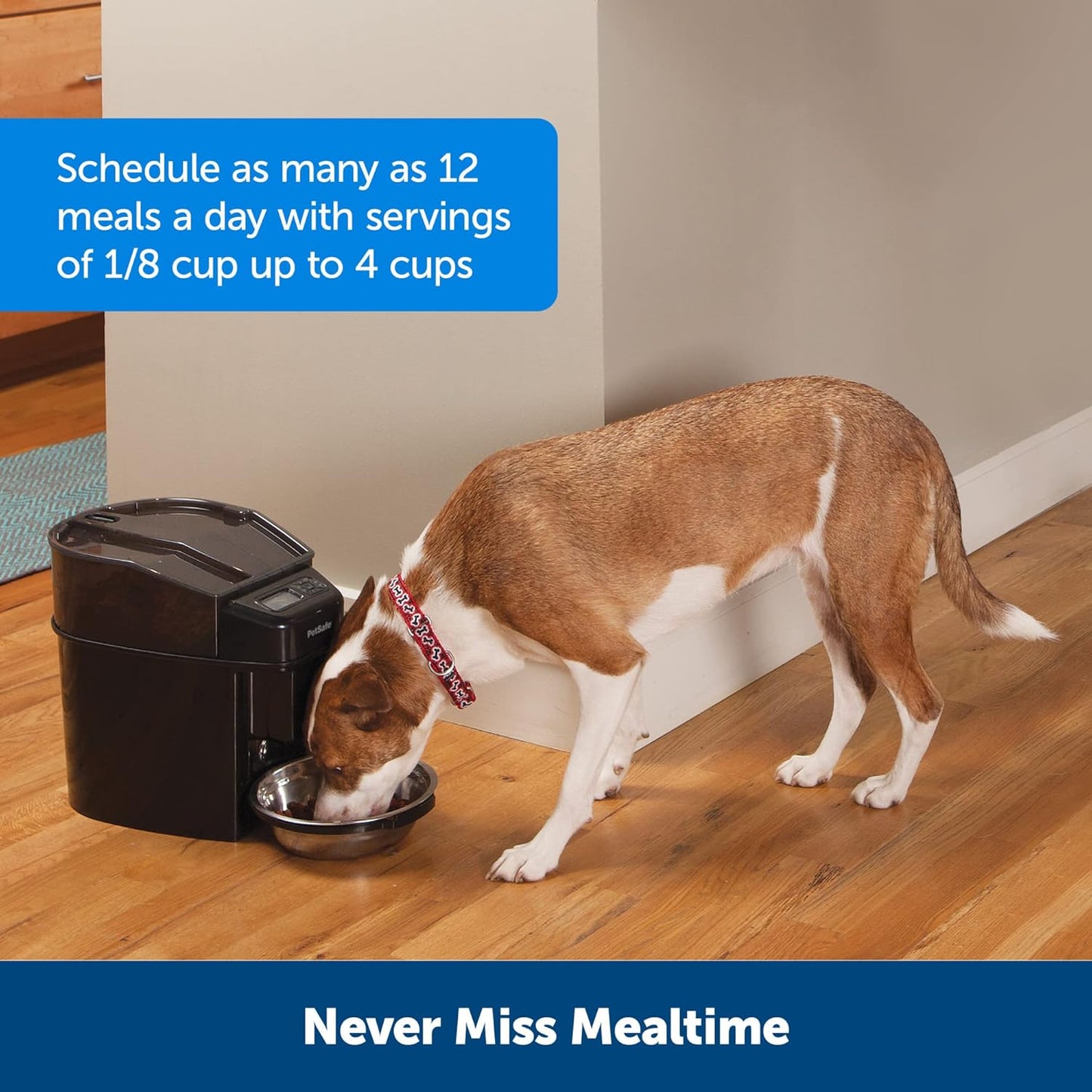 PetSafe Healthy Simple Feed Programmable Digital Pet Feeder – 24-Meal Automatic Cat & Dog Food Dispenser UAE
