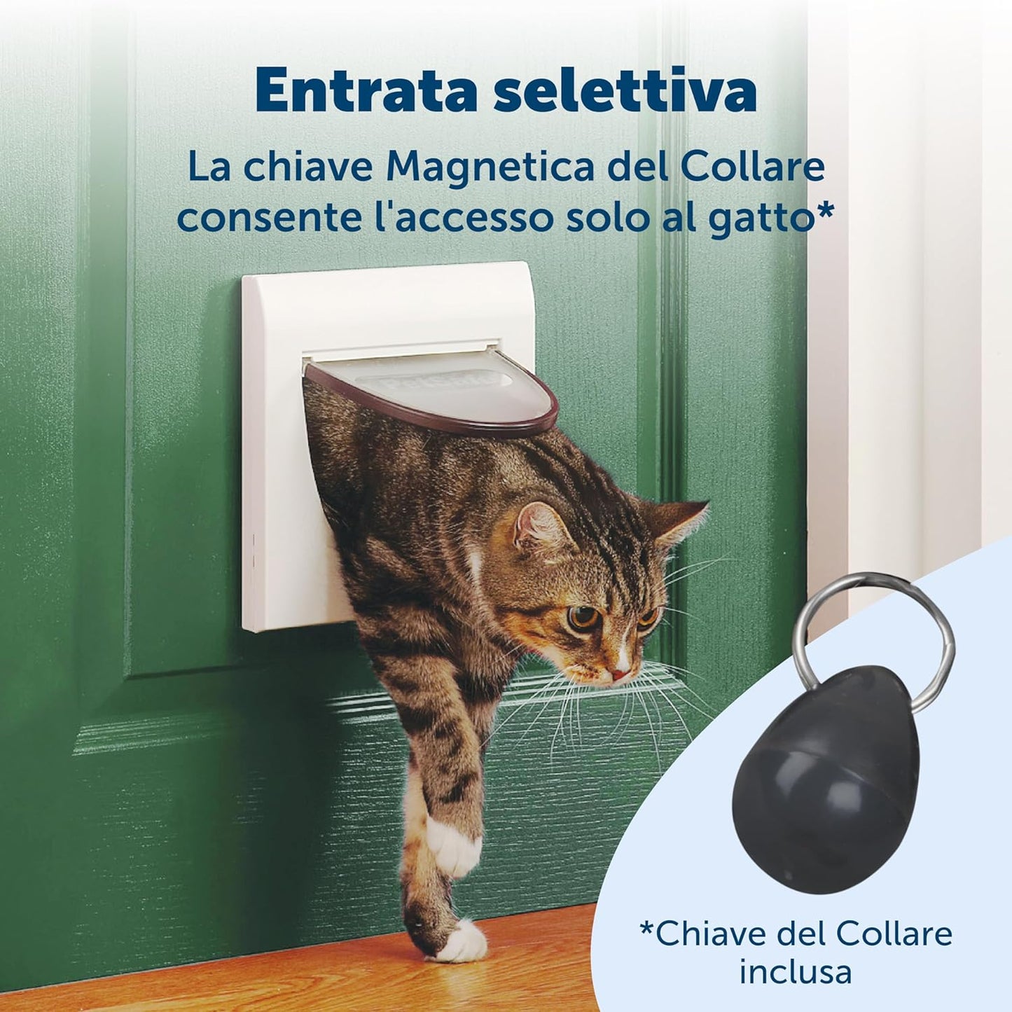 PetSafe Magnetic 4-Way Locking Classic Cat Flap – Magnet-Activated Cat Door UAE