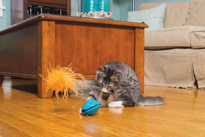 PetSafe Twist n'Treat Teaser Interactive Cat Toy – Treat-Dispensing Twisting Cat Enrichment Toy UAE