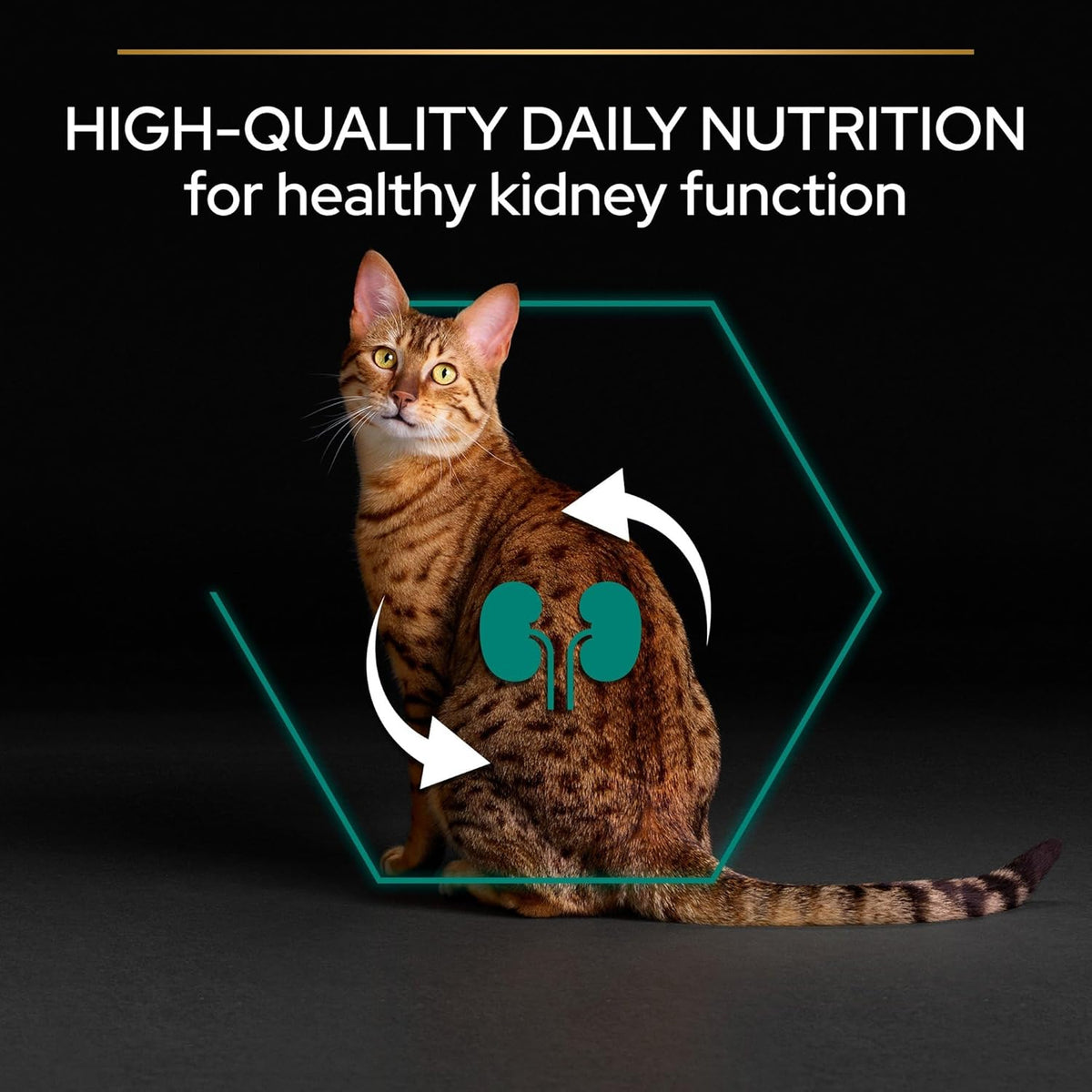 Pro Plan Adult Renal Plus Everyday Dry Cat Food with Chicken, 3 kg