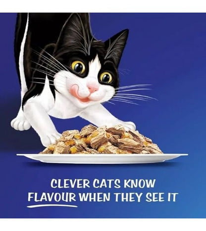 Purina Felix As Good As It Looks Wet Food Menus in Jelly for Kittens (Up to 1 Year) 12 x 85g