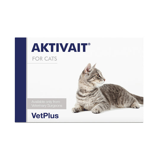 Aktivait Cat