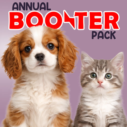 ANNUAL BOOSTER PACK