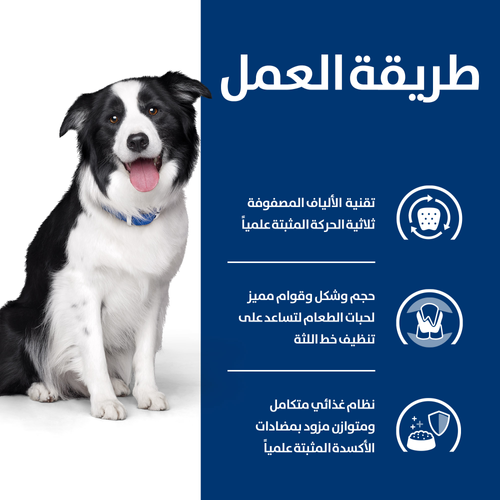Hill's PRESCRIPTION DIET t/d Dog Food 4kg