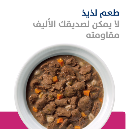 Hill's PRESCRIPTION DIET Gastrointestinal Biome Stew for Dogs 354g x 12