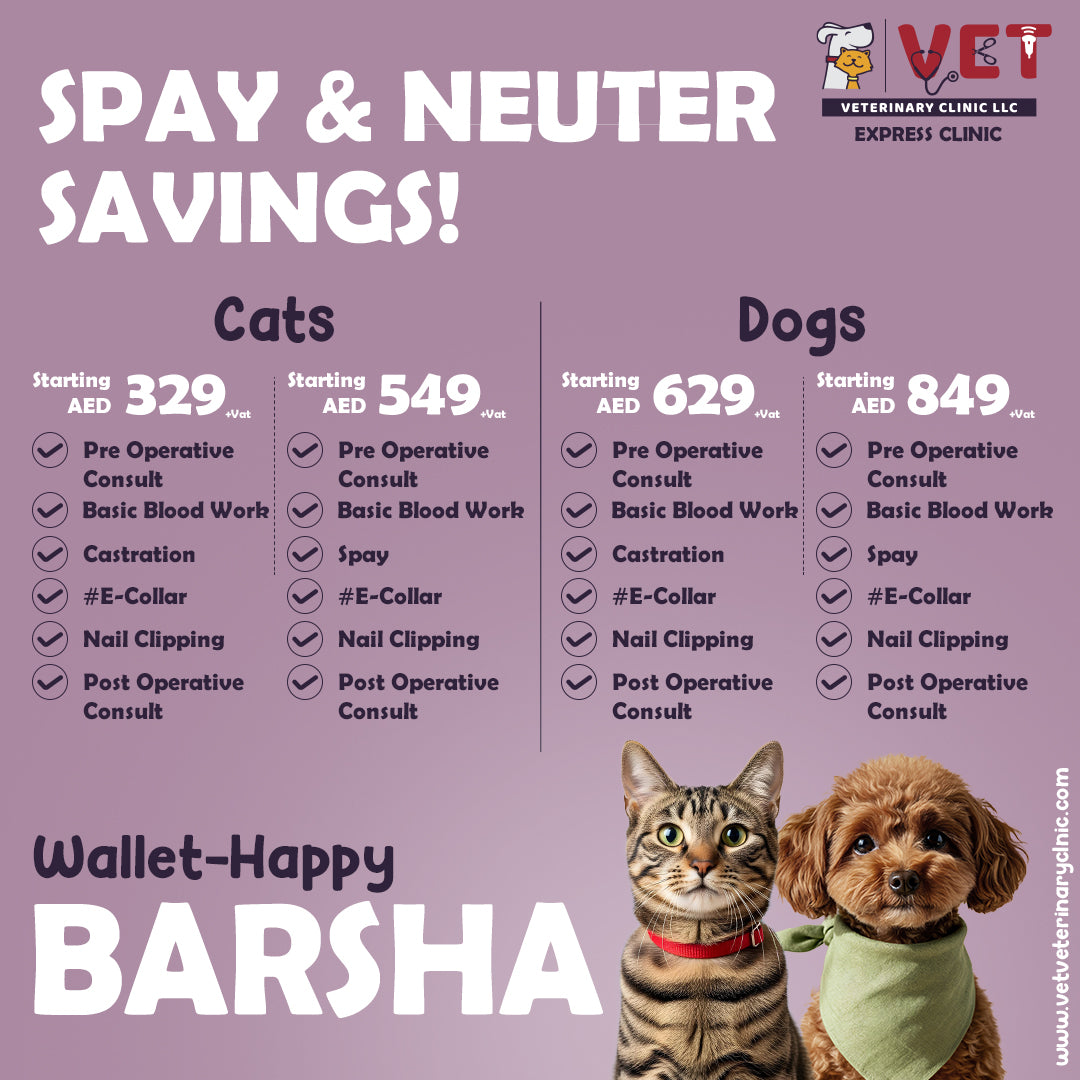 Spay & Neuter Package for Pets  - Al Barsha Clinic