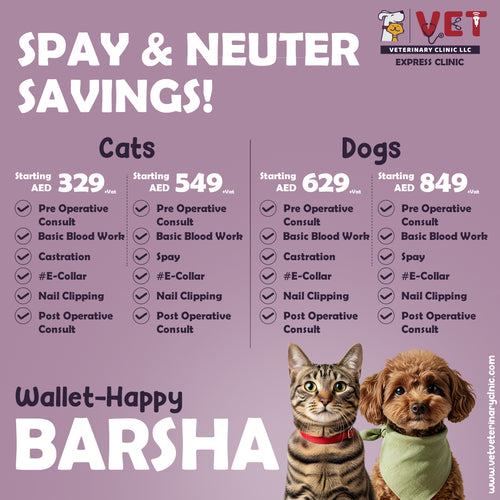 Spay & Neuter Package for Pets  - Al Barsha Clinic