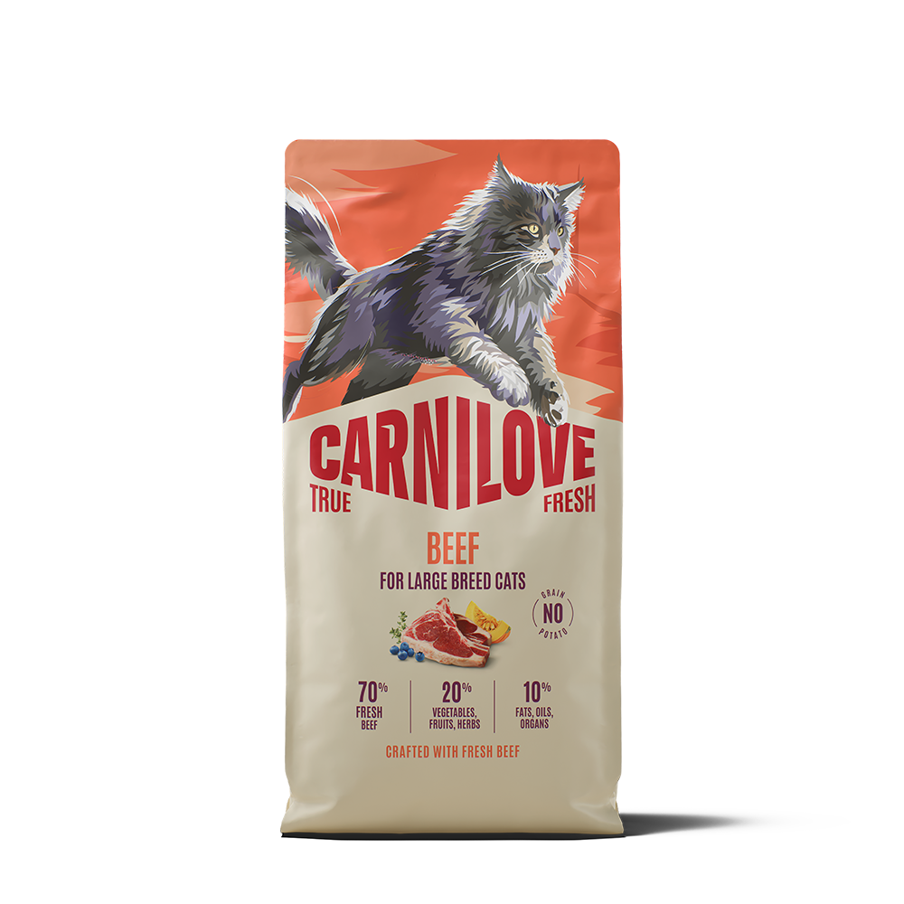 Carnilove True Fresh Beef for Adult Large Breeds Dry Cat Food 6kg