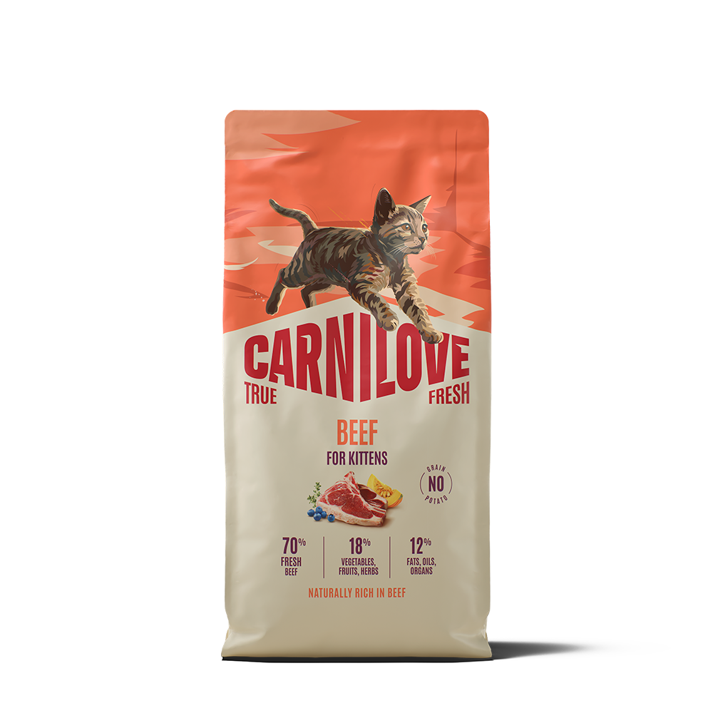 Carnilove True Fresh Beef for Kittens Dry Cat Food 6kg