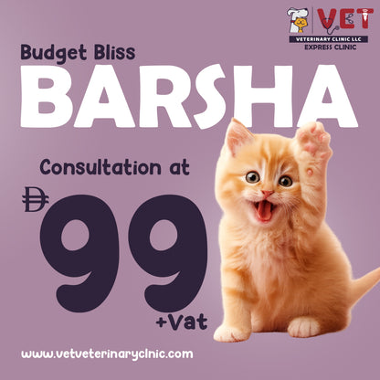 Vet Consultation - Al Barsha Clinic