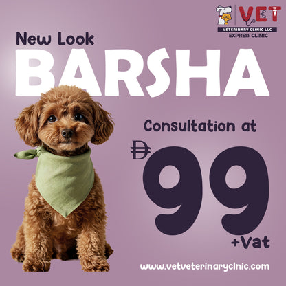 Vet Consultation - Al Barsha Clinic