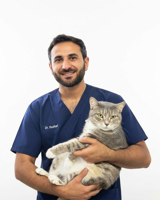 Our Doctors – VET Veterinary Clinic LLC