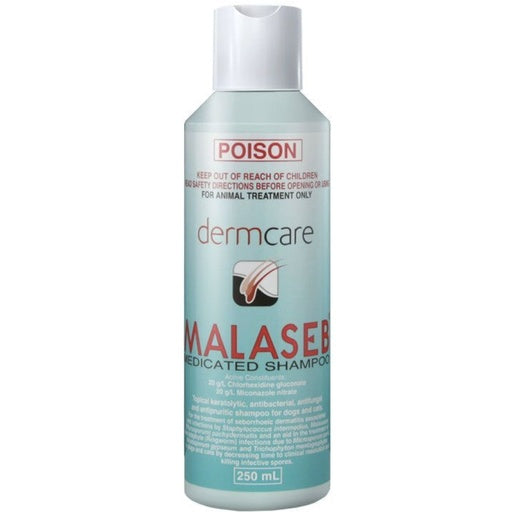 Dermcare Malaseb Medicated Pet Shampoo for Dogs & Cat 250ML