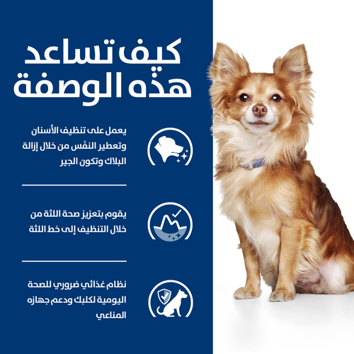 Hill's PRESCRIPTION DIET t/d Mini Dog Food 3kg