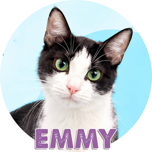 Emmy for Adoption