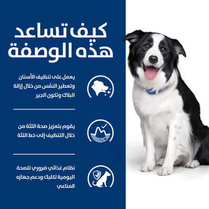Hill's PRESCRIPTION DIET t/d Dog Food 4kg