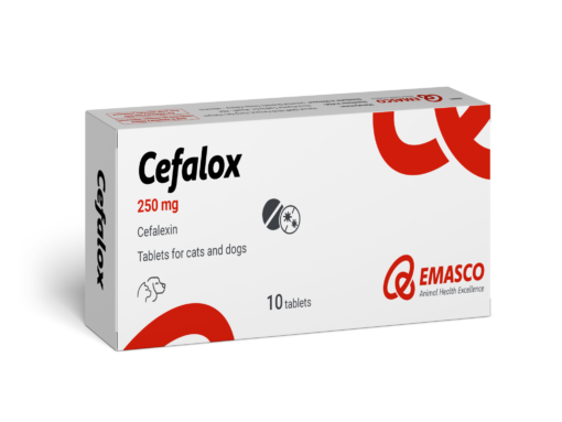 Cefalox