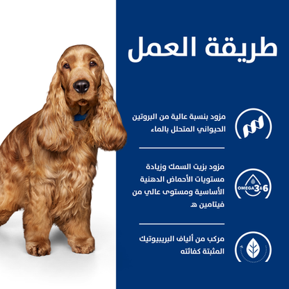 Hill's PRESCRIPTION DIET z/d Dog Food 3kg