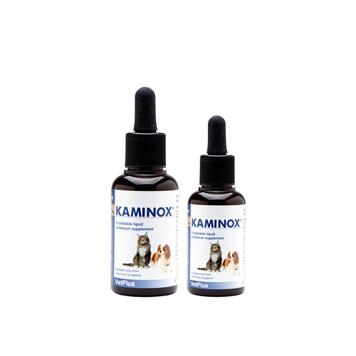 Kaminox (60ml)