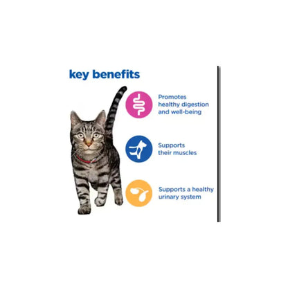 Hill's Vet Essentials Multi-Benefit Adult 1-6 Dry Cat Food With Chicken 1.5kg