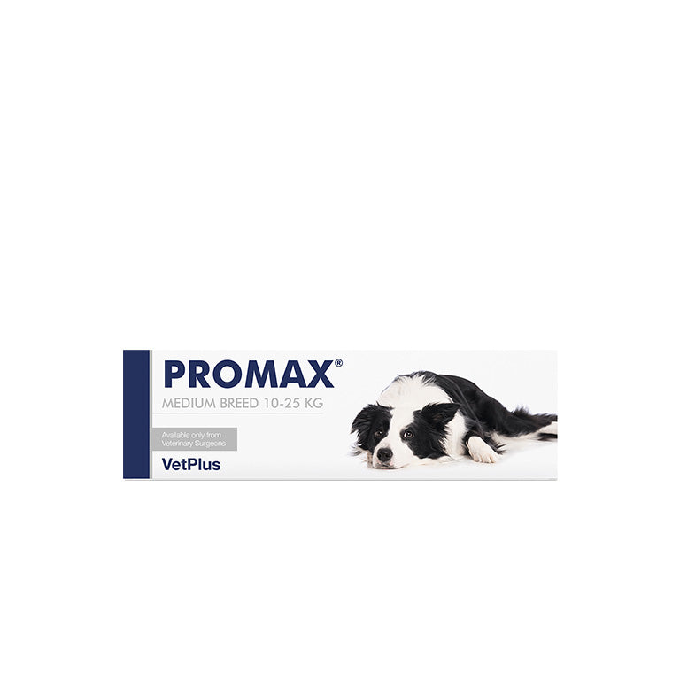 Promax Medium Breed (18ml)