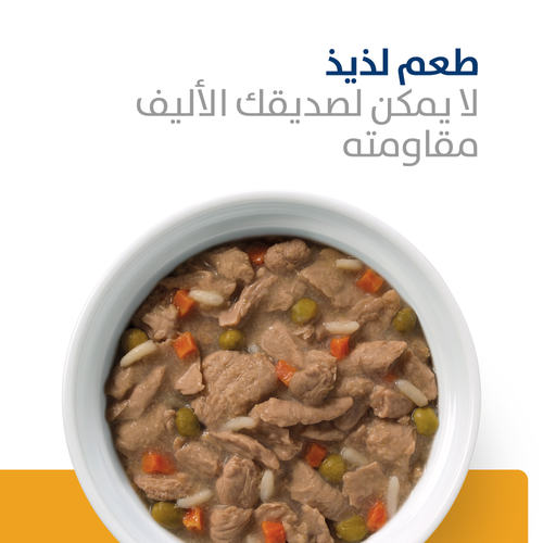 Hill's PRESCRIPTION DIET c/d Multicare Stew for Dogs 354g x 12