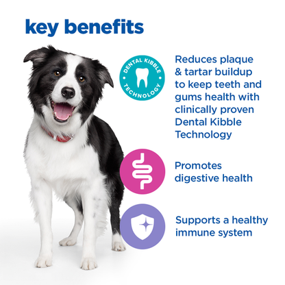 Hill's Vet Essentials Multi-Benefit + Dental Adult 1+  Medium and Large Breed Dog Food with Chicken 2kg