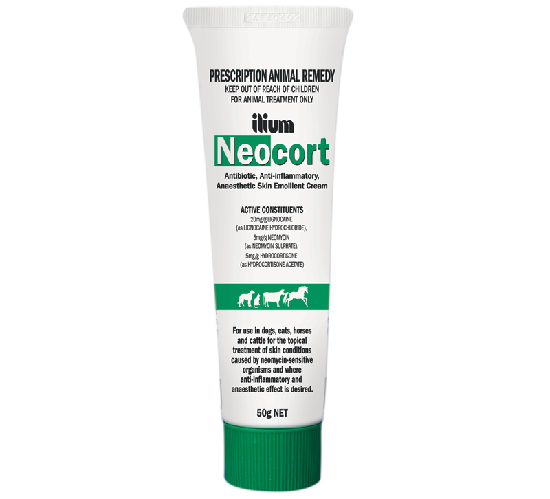 Neocort Neocort Ointment – VET Veterinary Clinic LLC
