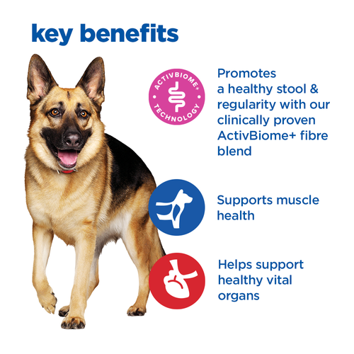 Hill's Vet Essentials Multi-Benefit + Digestion Adult Large Dry Dog Food With Chicken 14kg