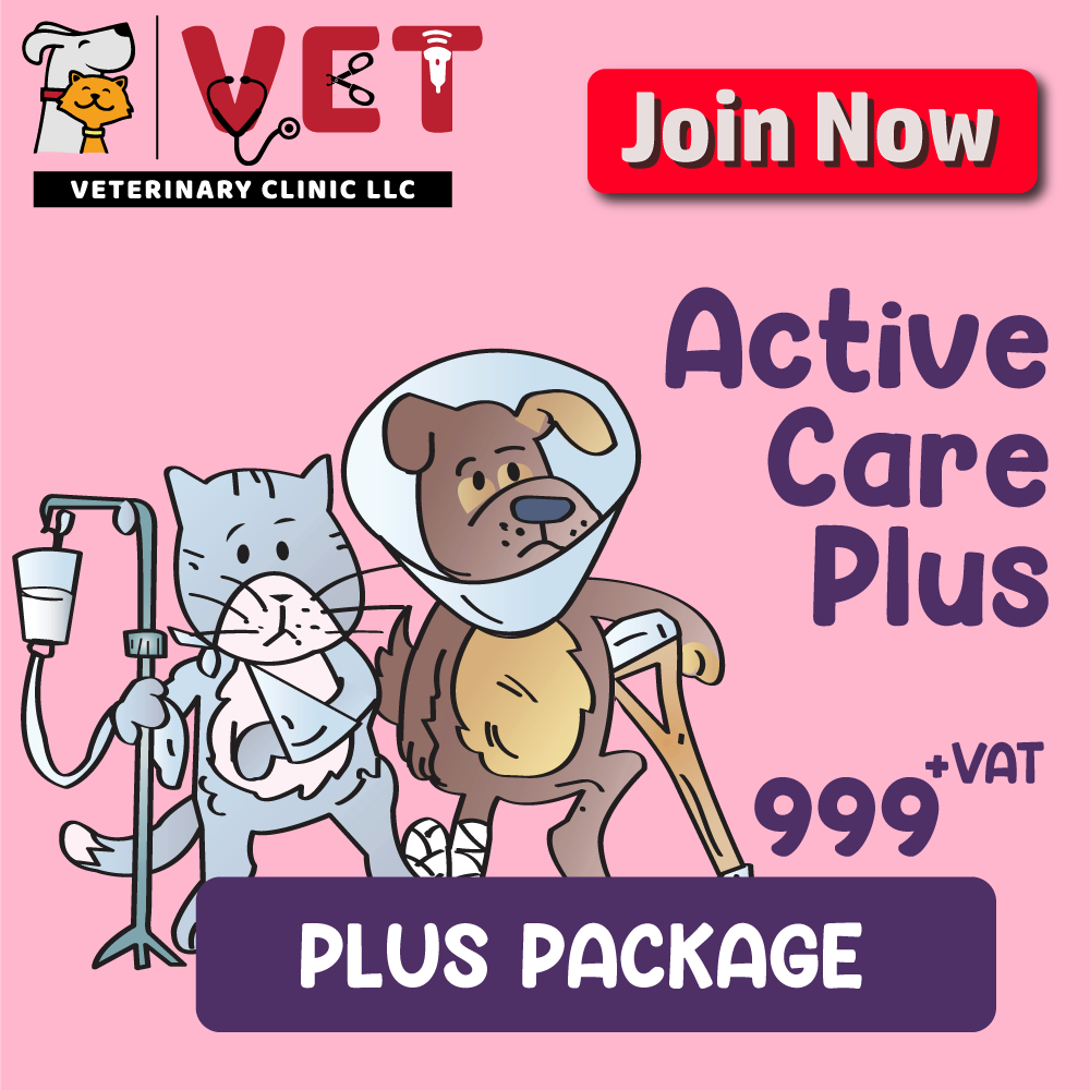 Active Care Plus (Plus Package)