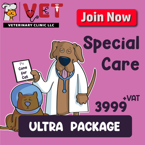 Special Care (Ultra Package)