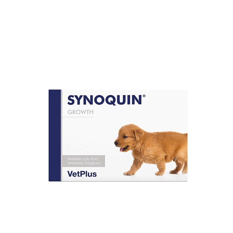 Synoquin Growth