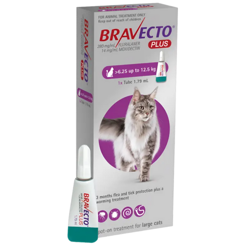 Bravecto Plus 500 mg / 25 mg for Large Cats