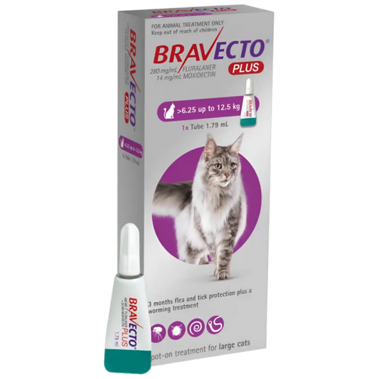 Bravecto Plus 500 mg / 25 mg for Large Cats