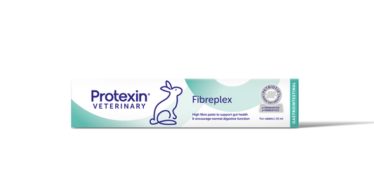 Rabbit Medicine – VET Veterinary Clinic LLC