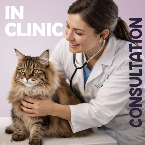 VET CONSULTATION