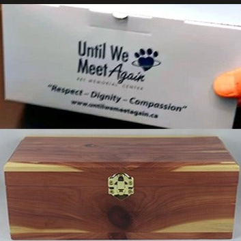 Cremation Cat with Ashes Back