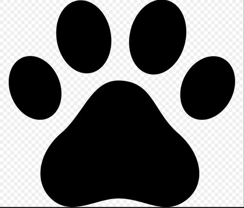 Paw Print of Dog