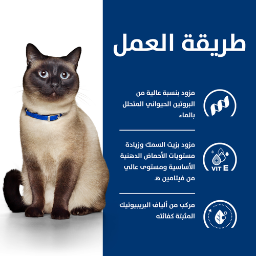 Hill's PRESCRIPTION DIET z/d Cat Dry Food 1.5Kg