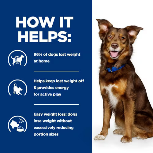 Hill's Prescription Diet Metabolic Dog Food 4KG