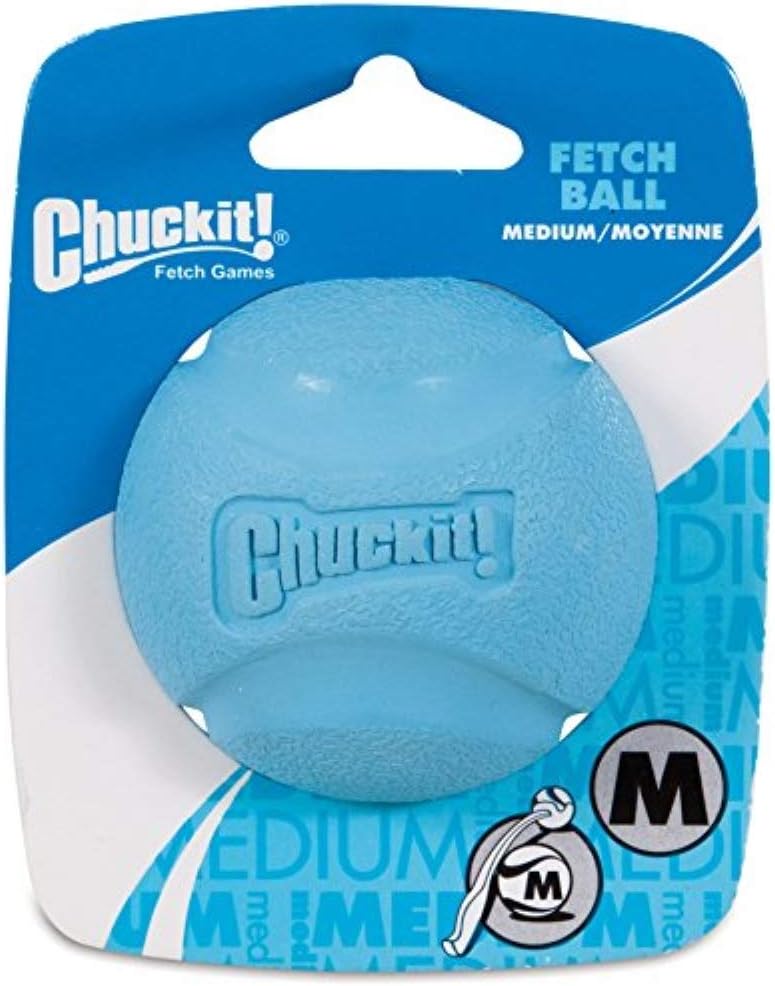 Chuckit! Fetch Ball 1-Pack Medium