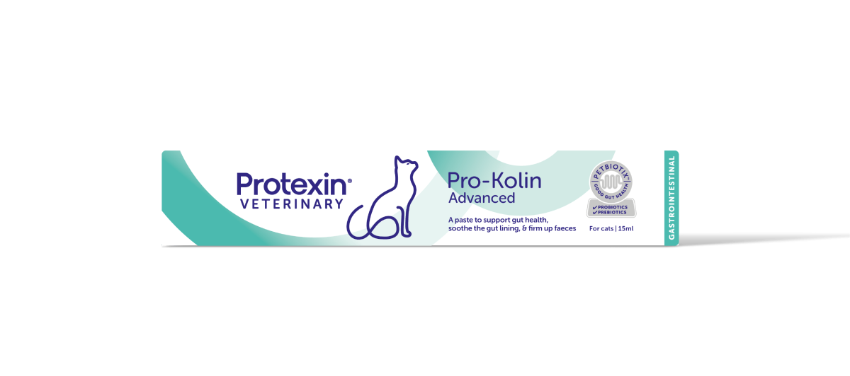 Pro-kolin Advanced for Cats 15 ml