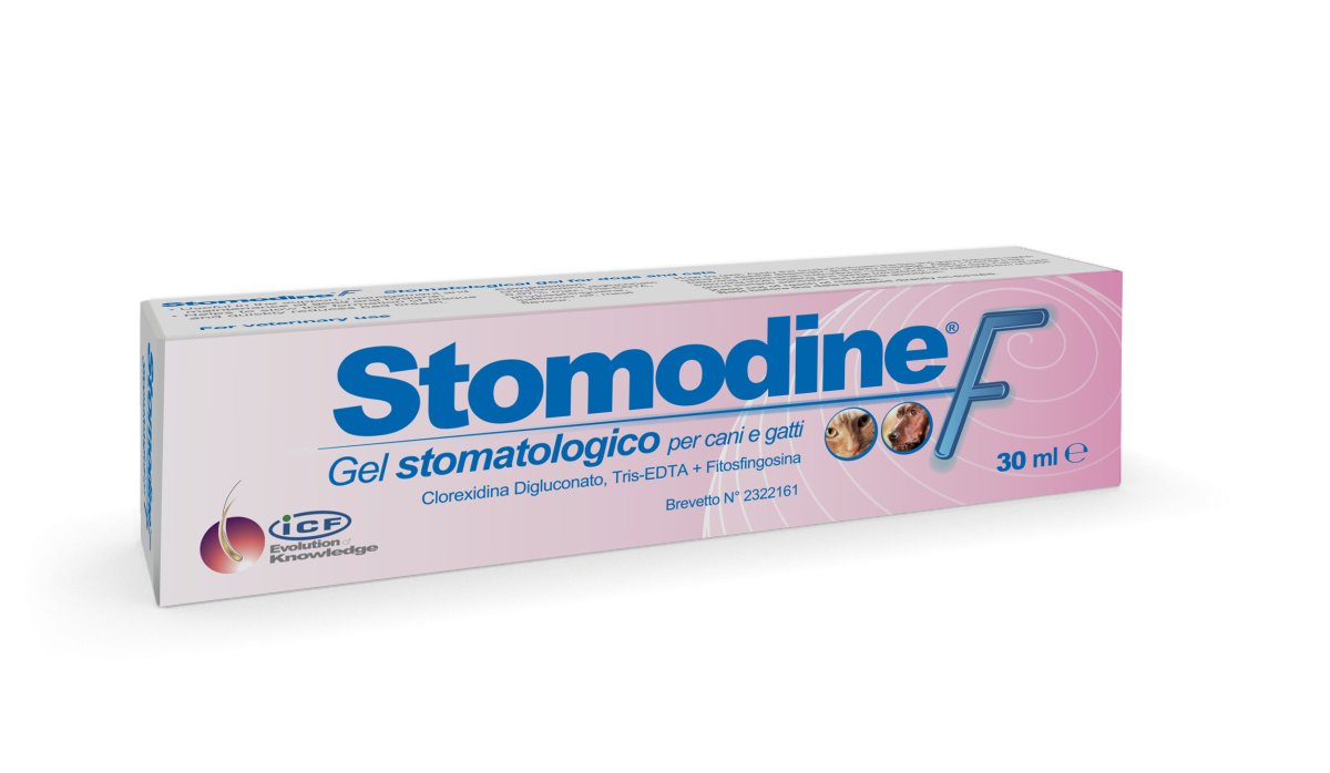 Stomodine F Gel for Dogs and Cats 30 ml