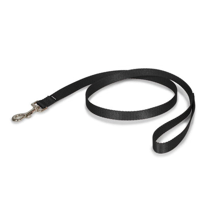Petmate Nylon Dog Leash 1in x6in Black