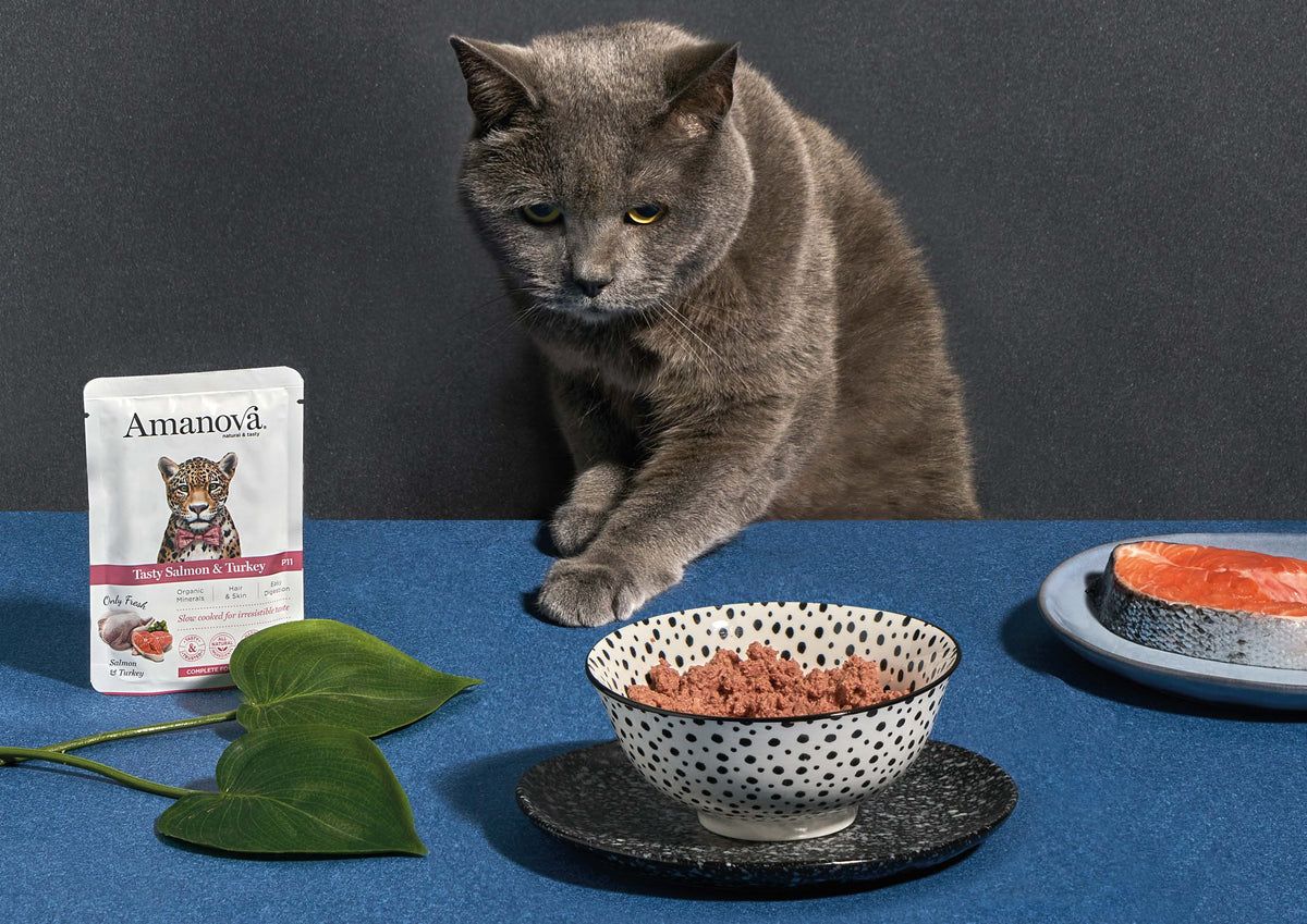 Amanova Pouch Cat Sterilised Chicken Wet Food 85g