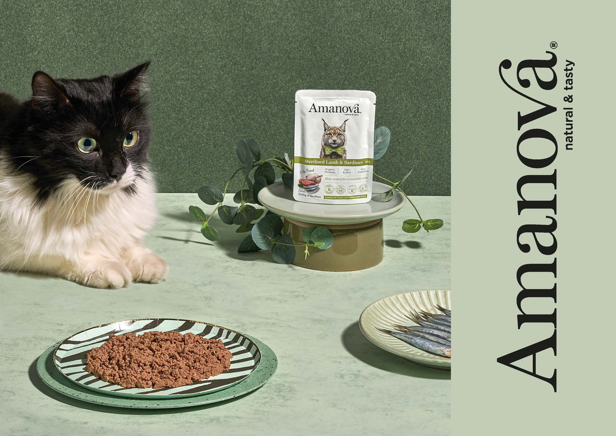 Amanova Pouch Cat Sterilised Chicken Wet Food 85g