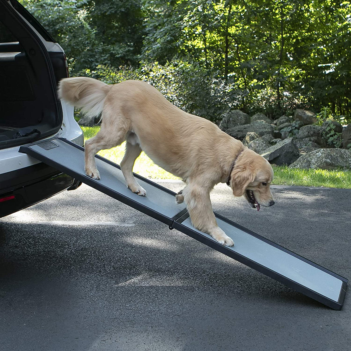 Petmate GEN7 Feather-Lite Ramp
