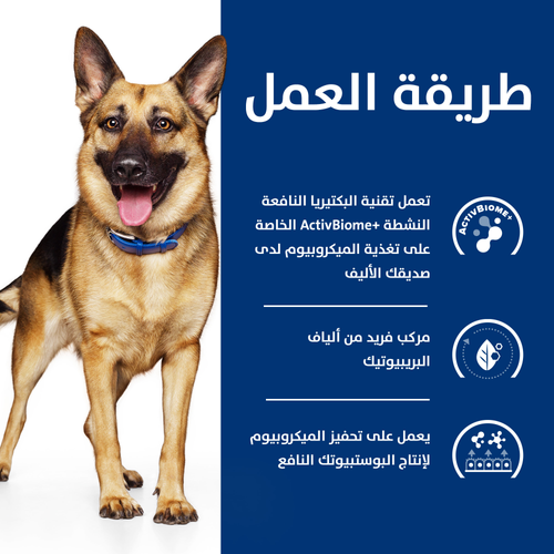 Hill's Prescription Diet Gastrointestinal Biome Dog Food - 10Kg